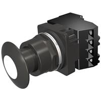 Pushbutton Switch DPST-NO/NC Standard, Illuminated Panel Mount, Front Pushbutton Switch DPST-NO/NC Standard, Illuminated Panel Mount, Front