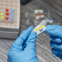 THT-250-494-RD THT-250-494-RD