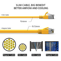 CM-100385YWBSTK CM-100385YWBSTK