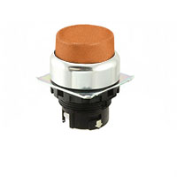 A22NZ-RPM-TOA A22NZ-RPM-TOA