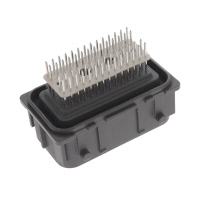 0313862021 0313862021