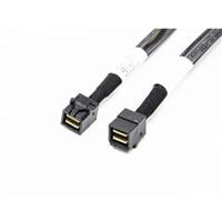 AMPH-4343-SL-035 AMPH-4343-SL-035