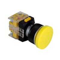 NF25-PEMY11 NF25-PEMY11