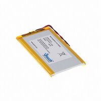 LP504783JU+PCM+2 WIRES 70MM LP504783JU+PCM+2 WIRES 70MM