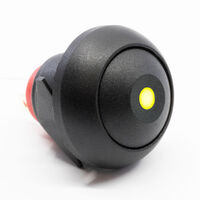 Pushbutton Switch SPST-NO Standard, Illuminated Panel Mount, Snap-In Pushbutton Switch SPST-NO Standard, Illuminated Panel Mount, Snap-In