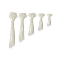 CT-KIT-MS-NT CT-KIT-MS-NT