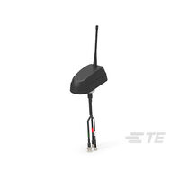 MFG_L000573-05.JPG MFG_L000573-05.JPG