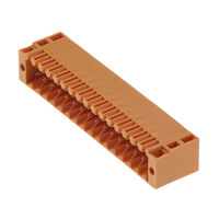 1729560000 1729560000