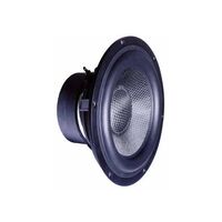 TIW 200 XS - 8 OHM TIW 200 XS - 8 OHM