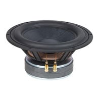 TIW 250 XS - 8 OHM TIW 250 XS - 8 OHM