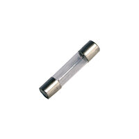 Incandescent Lamp Clear 8V Round 6mm, T-2 Fuse - 3AG Incandescent Lamp Clear 8V Round 6mm, T-2 Fuse - 3AG