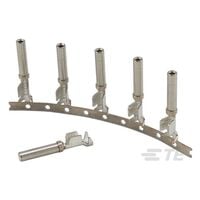 Socket Contact Gold Crimp Stamped Socket Contact Gold Crimp Stamped