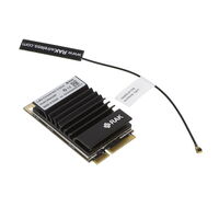 RAK2287-210 RAK2287-210