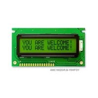 AMC1602GR-B-Y6WFDY AMC1602GR-B-Y6WFDY