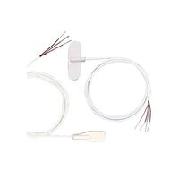 SA2C-RTD-3-100-A-80 SA2C-RTD-3-100-A-80