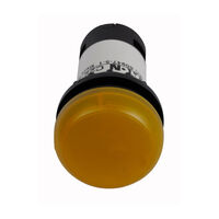 C22-L-Y-24 C22-L-Y-24