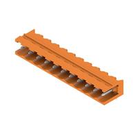 1146920000 1146920000