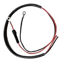 RPST-CABLE-BATT-1.5 RPST-CABLE-BATT-1.5