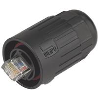 插头 模块化连接器 位置 无屏蔽 Cat5e,Cat6 缆线 插头 模块化连接器 位置 无屏蔽 Cat5e,Cat6 缆线