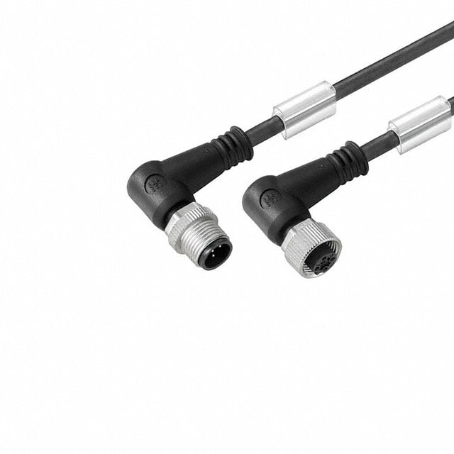 1906310300 1906310300