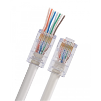 CAT5-HSP CAT5-HSP