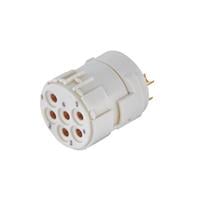 09151062702 09151062702