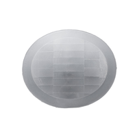 PIR FRESNEL LENS_PF31-12012 PIR FRESNEL LENS_PF31-12012