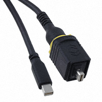 Cable Assembly 6.6' (2.00m) Cable Assembly 6.6' (2.00m)