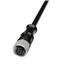 CIRC CBL 8POS PLUG TO WIRE 32.8'