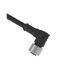 CIRC CBL 12POS PLUG TO WIRE 30.'