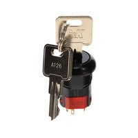 键锁开关 2 位置 DPDT 0.4VA（AC/DC） 20 V AC 20 V DC 面板安装