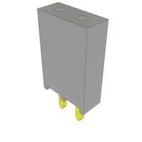 2 Position Receptacle Connector 0.100" (2.54mm) Through Hole Gold