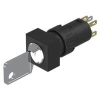 Keylock Switch 2 Position DPST-NO/NC 5A (AC) 250 V AC DC Panel Mount