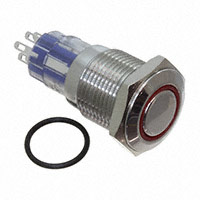 Pushbutton Switch DPDT Standard, Illuminated Panel Mount, Front