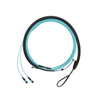 光ファイバケーブル MPO ～ LCデュプレックス（6） 50/125 32.8フィート（10.0m）