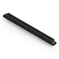 80 positionen Buchse Steckverbinder Nicht angegeben - Doppelkante Gold 0,156" (3,96mm) Schwarz