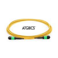 Cable Fiber Optic To MPO 9.8' (3.0m)