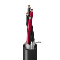 4 (2 pares trenzados) Conductores Multipar Cable Cromo 22 AWG Papel metálico 500.0' (152.4m)