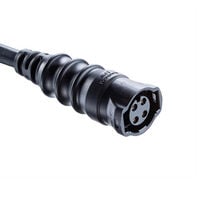 Circular Cable Assembly Unshielded 1.64' (500.00mm)