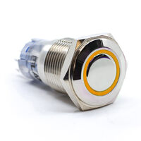 按钮开关 DPDT 防破坏，发光 前面板安装