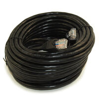 Modular Cable Plug to Plug 8p8c (RJ45, Ethernet) 50.00' (15.24m) Unshielded