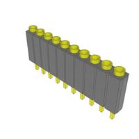 10 Position Elevated Socket Connector 0.100" (2.54mm) Through Hole Gold