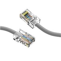 Modular Cable Plug to Plug 8p8c (RJ45, Ethernet) 2.00' (609.6mm) Unshielded