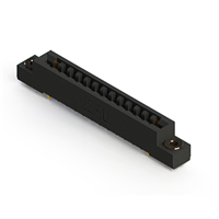 26 positionen Buchse Steckverbinder Nicht angegeben - Doppelkante Gold 0,156" (3,96mm) Schwarz