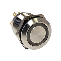 Pushbutton Switch DPST-NO/NC Standard, Illuminated Panel Mount, Front