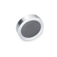 Magnet Ferrite 0.512" Dia x 0.177" H (13.00mm x 4.50mm)