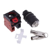 键锁开关 2 位置 DPST-NO/NC 10A（AC/DC） 110 V AC 24 V DC 面板安装