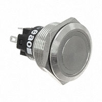 Pushbutton Switch SPDT Standard, Illuminated Panel Mount, Front