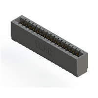 16 positionen Buchse Steckverbinder Nicht angegeben - Einzelkante Gold 0,125" (3,18mm) Schwarz