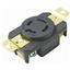 NEMA L15-20 RECEPTACLE